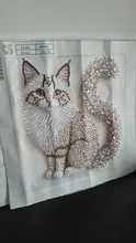 Avis clients – Kit peinture diamant 5D chaton moelleux diamants irréguliers