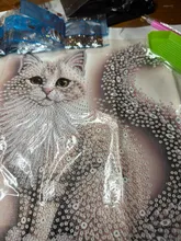 Avis clients – Kit peinture diamant 5D chaton moelleux diamants irréguliers
