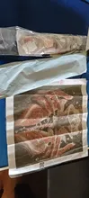 Avis clients – Kit peinture diamant 5D chien dessin animé 20 à 50 cm