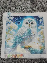 Avis clients – Kit peinture diamant 5D hibou sur branches acrylique