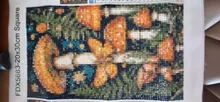 Avis clients – Kit peinture diamant champignon papillon 20x30 à 40x50 cm