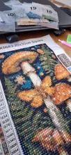 Avis clients – Kit peinture diamant champignon papillon 20x30 à 40x50 cm