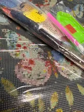 Avis clients – Kit peinture diamant champignon papillon 20x30 à 40x50 cm