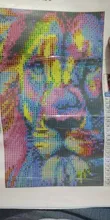 Avis clients – Peinture diamant animal 20x30 à 40x50 cm