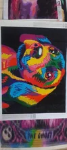 Avis clients – Peinture diamant animal 20x30 à 40x50 cm