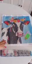 Avis clients – Peinture diamant animal 25x25 à 40x40 cm