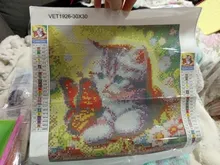 Avis clients – Peinture diamant animaux 30x30 cm chien chat tigre