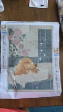 Avis clients – Peinture diamant chat baignoire 20x30 à 40x50 cm