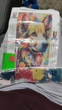 Avis clients – Peinture diamant chats et lions 20 à 30 cm