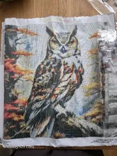 Avis clients – Peinture diamant oiseau hibou 25 à 40 cm