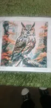 Avis clients – Peinture diamant oiseau hibou 25 à 40 cm