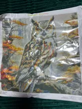 Avis clients – Peinture diamant oiseau hibou 25 à 40 cm