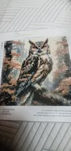 Avis clients – Peinture diamant oiseau hibou 25 à 40 cm