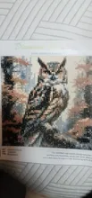 Avis clients – Peinture diamant oiseau hibou 25 à 40 cm