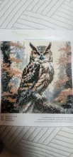 Avis clients – Peinture diamant oiseau hibou 25 à 40 cm
