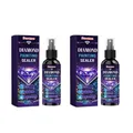 Colle fixation peinture diamant 100 ml séchage rapide – Couleur 2x100ml