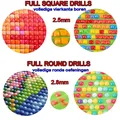 Kit broderie diamant femme dragon carré rond 20x40cm à 35x70cm – 4