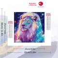 Kit peinture diamant 5D lion animal 20 à 50 cm – 2