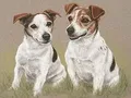 Kit peinture diamant animal 30x20 à 40x50 cm – Couleur DZDP26903