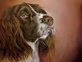 Kit peinture diamant animal 30x20 à 40x50 cm – Couleur DZDP26914