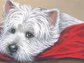 Kit peinture diamant animal 30x20 à 40x50 cm – Couleur DZDP27002