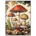 Kit peinture diamant champignon papillon 20x30 à 40x50 cm – Couleur FDX5695