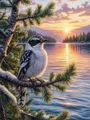 Kit peinture diamant chat lion oiseau 30x40 à 45x60 cm – Couleur FC27425