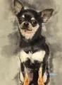 Kit peinture diamant chiens chihuahuas 20 à 70 cm – Couleur HS1419-3