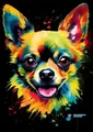 Kit peinture diamant chiens chihuahuas 20 à 70 cm – Couleur HS1419-5