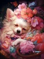 Kit peinture diamant chiens chihuahuas 20 à 70 cm – Couleur HS1419-6