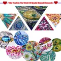 Kit peinture diamant fille japonaise forme spéciale – 5