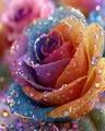 Kit peinture diamant floral 20 à 50 cm – Couleur DZDP126270