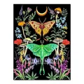 Kit peinture diamant papillon 20 à 30 cm – Couleur FDX3614