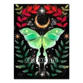Kit peinture diamant papillon 20 à 30 cm – Couleur FDX3615