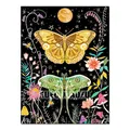 Kit peinture diamant papillon 20 à 30 cm – Couleur FDX3619