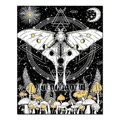 Kit peinture diamant papillon 20 à 30 cm – Couleur FDX3621