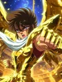 Kit peinture diamant Saint Seiya 30x40 à 50x70 cm – Couleur HS78-13