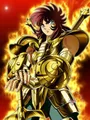 Kit peinture diamant Saint Seiya 30x40 à 50x70 cm – Couleur HS78-18