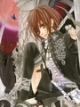 Kit peinture diamant Vampire Knight 30x40 à 50x70 cm – Couleur HST970-12