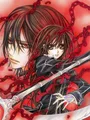 Kit peinture diamant Vampire Knight 30x40 à 50x70 cm – Couleur HST970-13