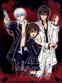 Kit peinture diamant Vampire Knight 30x40 à 50x70 cm – Couleur HST970-18