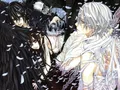 Kit peinture diamant Vampire Knight 30x40 à 50x70 cm – Couleur HST970-21