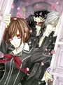 Kit peinture diamant Vampire Knight 30x40 à 50x70 cm – Couleur HST970-6