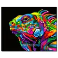 Peinture diamant animal 20x30 à 40x50 cm – Couleur FDX1