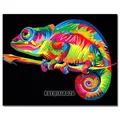 Peinture diamant animal 20x30 à 40x50 cm – Couleur FDX2