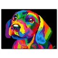 Peinture diamant animal 20x30 à 40x50 cm – Couleur FDX4268