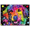 Peinture diamant animal 20x30 à 40x50 cm – Couleur FDX4270
