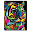 Peinture diamant animal 20x30 à 40x50 cm – Couleur FDX4277