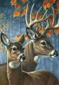 Peinture diamant animal 25x25 à 40x40 cm – Couleur DZDP54331