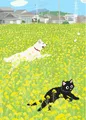 Peinture diamant animaux 20 à 70 cm ronde ou carrée – Couleur noir (10)